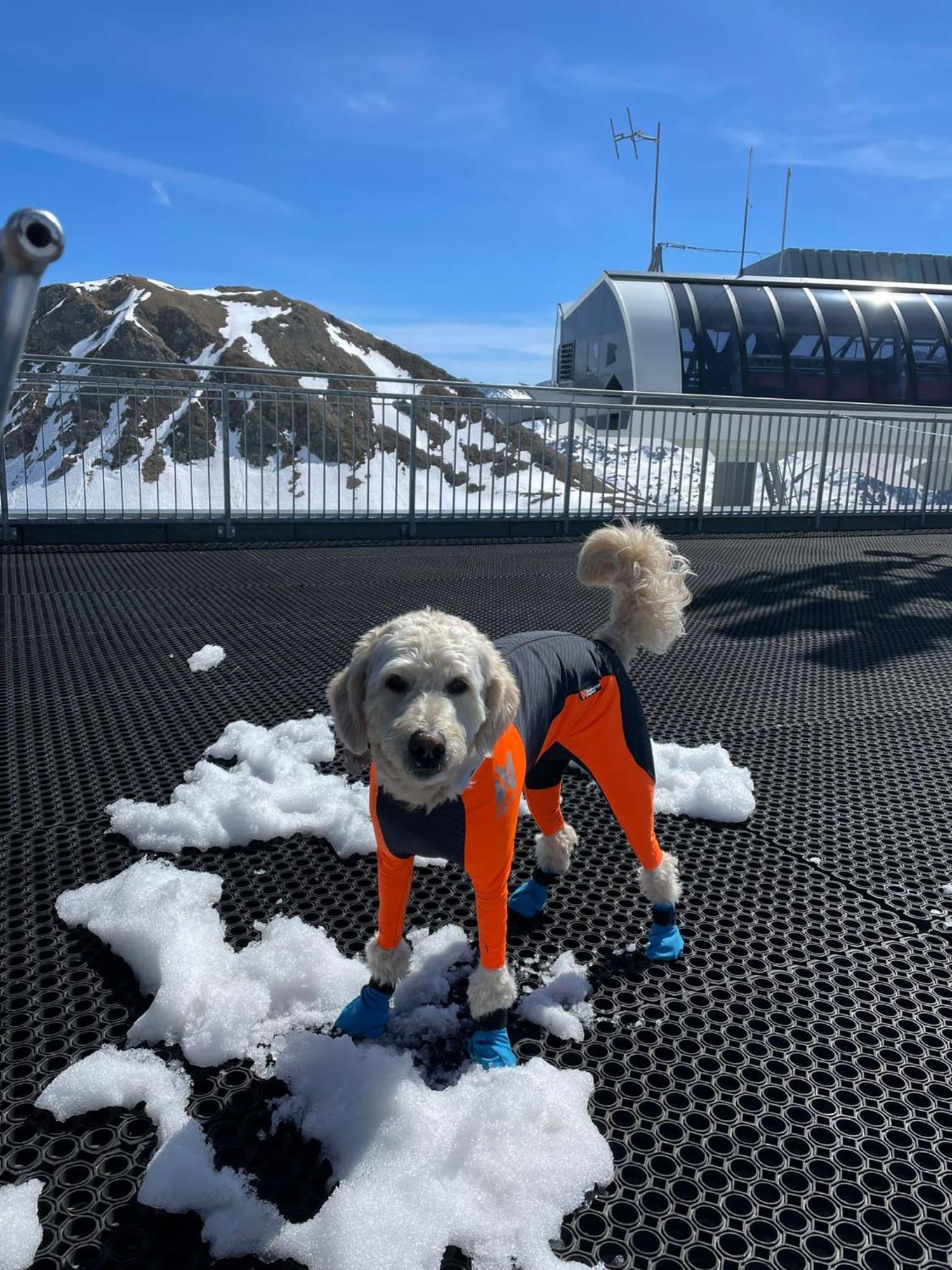 Doodle'S Amazing Chalet -Walensee - Flumserberg - Churfirsten - Heidiland - Pool - Sauna Мольс Экстерьер фото